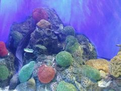 -洛阳龙门海洋馆