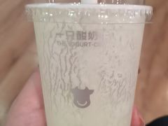 -一只酸奶牛(八一路店)