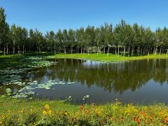 -东郊湿地公园