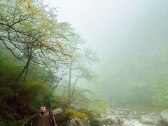 -青峰峡国家森林公园