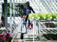 -上海都市菜园