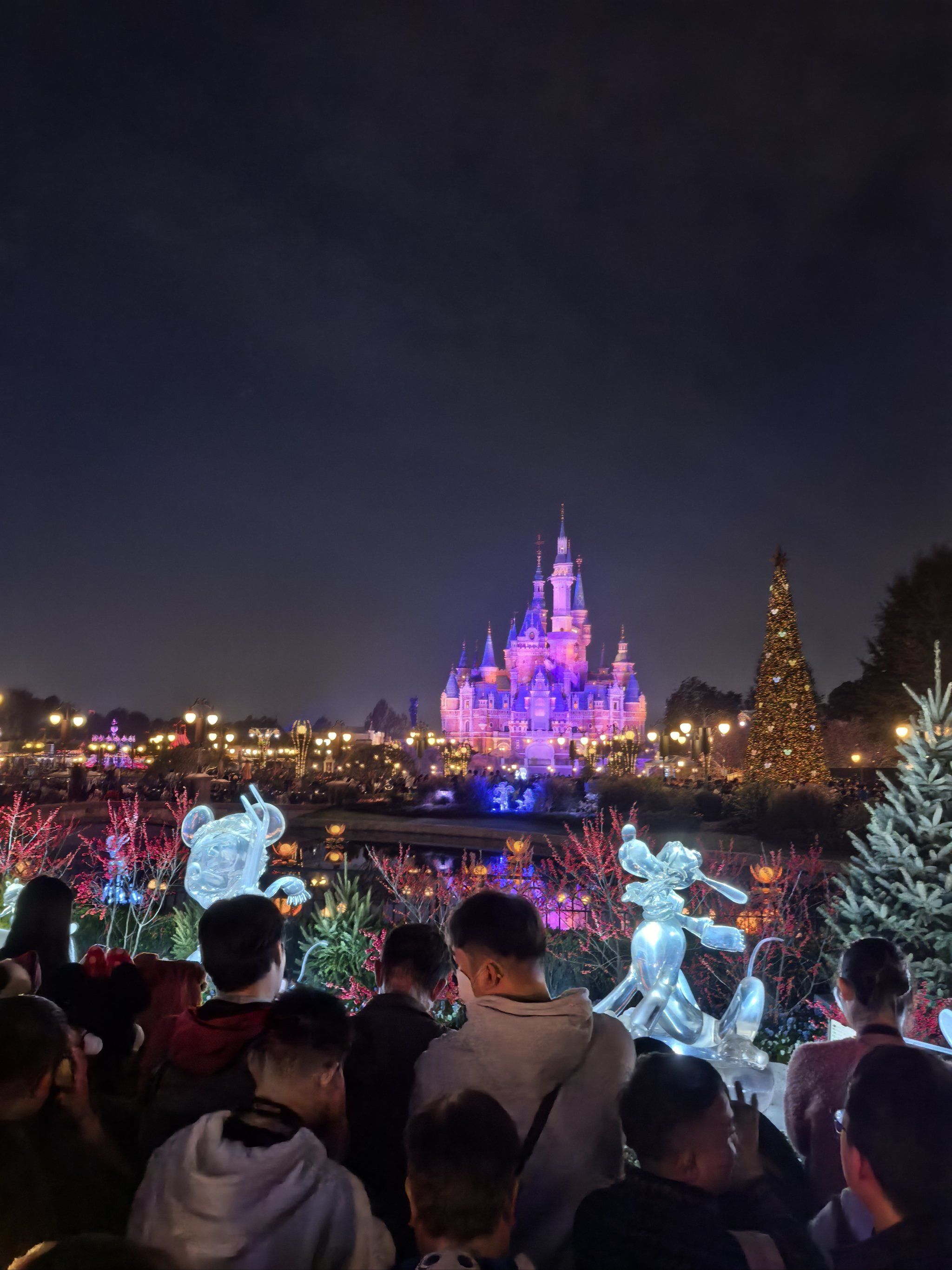 夜晚的烟花奇遇～不错的录旅行,上海迪士尼