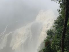 -热带雨林自然公园