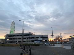 -大起水产回转寿司(りんくうシークル店)