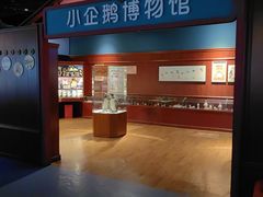 -海合安武汉极地海洋公园