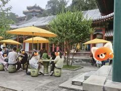 -宫事颐庭·老佛爷贵寿下午茶(颐和园店)