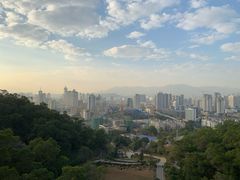 -金鸡山公园