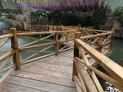 -第五季龙水凤港生态露营农场