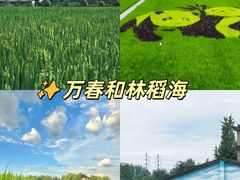-老鼎万春卤菜(五代传承创始老店)