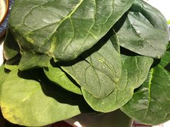 -福牛阁潮汕牛肉火锅