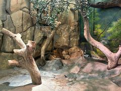 -正佳雨林生态植物园