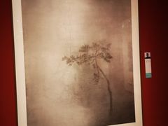 -江苏省美术馆(长江路新馆)