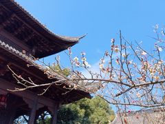 -钱王祠