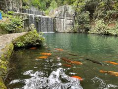 -千岛湖东南湖区