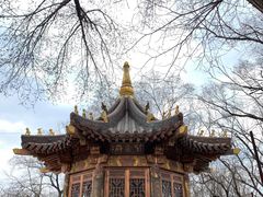 -高尔山公园