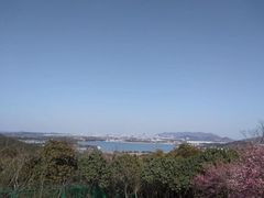 -香雪海