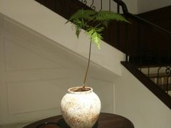 -醉西楼·国风茶社