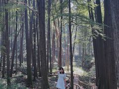 -波尔登森林公园