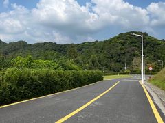 -黄埔油麻山森林公园