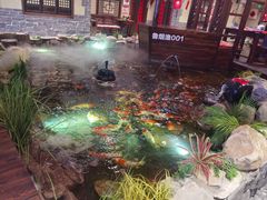 -鱼满舱·鲜活海鲜·正宗鲁菜