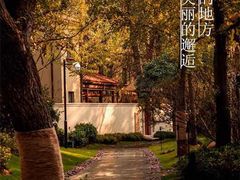 -思念果岭悦温泉