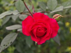 -新合益乡村农庄
