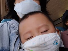-胶州湾海底隧道