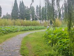 -百翠山居.家飨餐厅