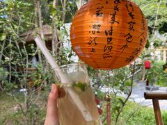 -深圳国际园林花卉博览园