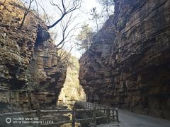 -齐王寨景区