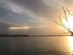 -望湖烤鱼
