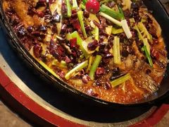 -老板恋上鱼(恒隆广场店)