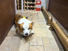 -Line 咖啡(石厦花园店)