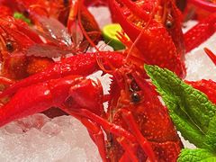 冰镇龙虾-靓靓蒸虾·头牌蒸虾(万松园玲珑店)
