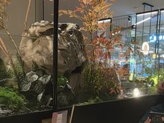 -绿茶餐厅(青岛城阳万象汇店)