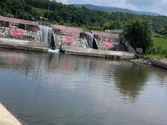 -庆岭迎宾园正宗活鱼馆