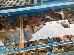 -外伶仃岛海鲜市场