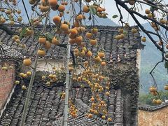 -婺源风景区