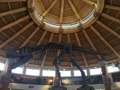 -新加坡海鲜共和(名胜世界圣淘沙海滨坊)