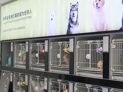 -翊宠yipet猫狗购宠庄园犬舍•猫舍