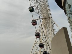 -琴岛之星摩天轮