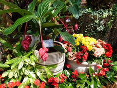 -国家植物园南园