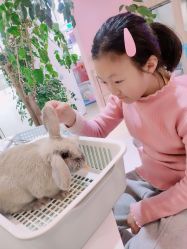 -Moni星球萌宠·小马宝莉·灵蛇·高端高阶全萌宠互动体验俱乐部(红豆国际广场店)