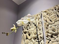 -拾花记花艺·求婚·订婚·生日布置(高新店)
