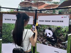 -西安电影制片厂