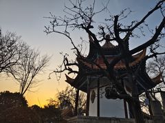 -戏马台景区