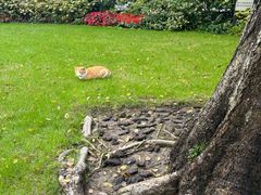 -上海博物馆-停车场