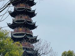 -龙华素斋(龙华路店)