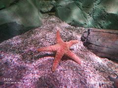 -沈阳海洋探索中心