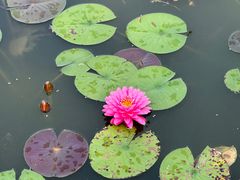 -国家植物园南园